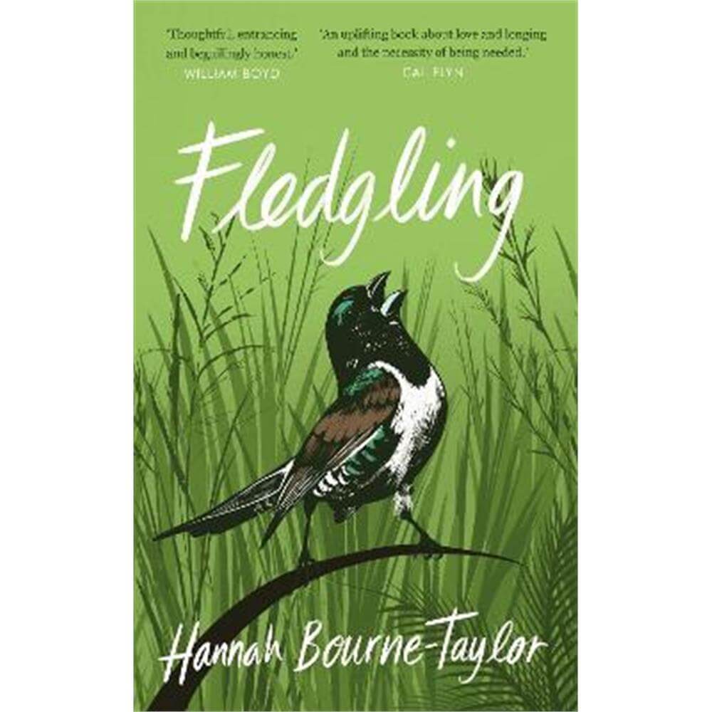Fledgling (Hardback) - Hannah Bourne-Taylor